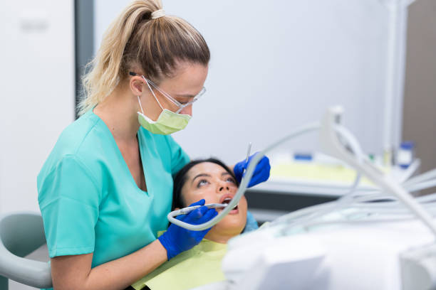 Best Emergency X-Rays and Diagnostics in Pasadena Hills, FL